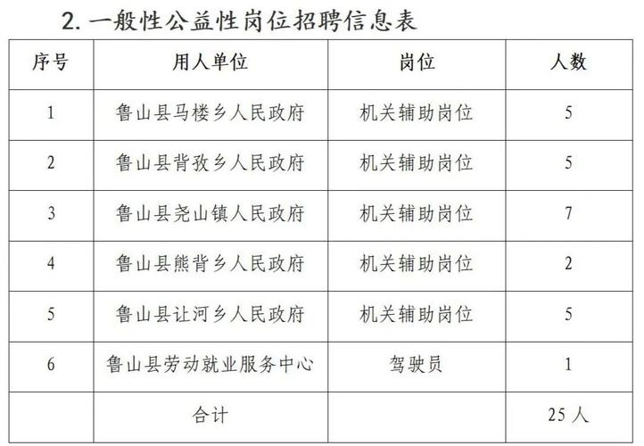 鲁山急招最新岗位需求与求职策略解析