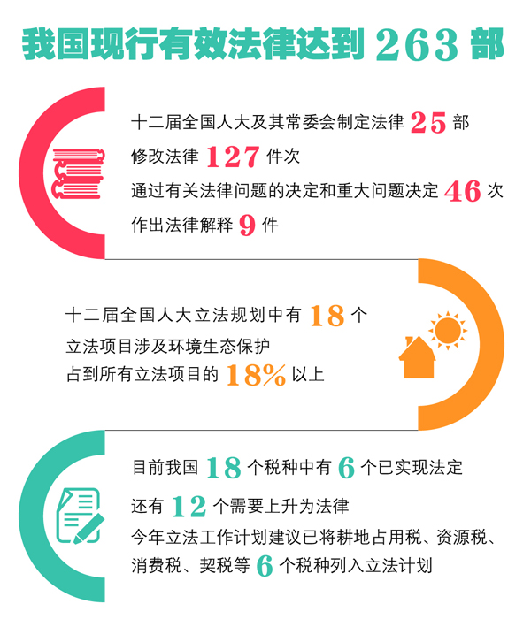 最新立法动态与社会影响深度解析