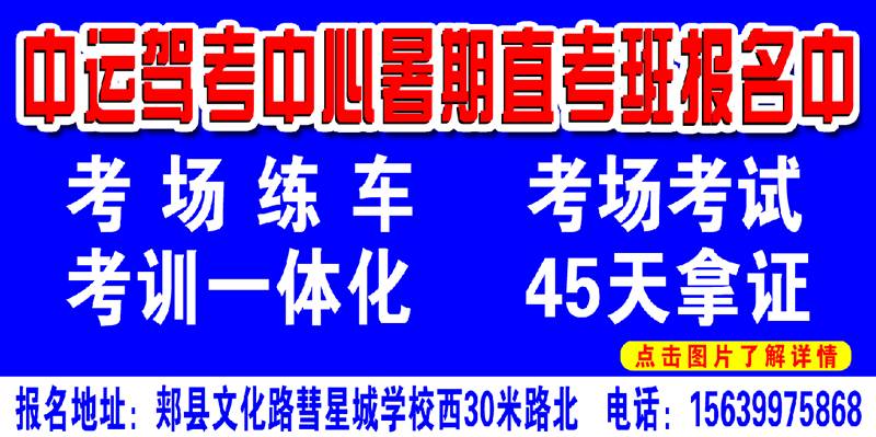 郏县最新招聘动态，共创美好未来，把握职业机会